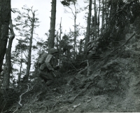 Nisei soldiers fight in rough terrain in the Vosges Mountains [U.S. Army Signal Corps]