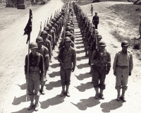 100th Battalion Soldiers in Training [U.S. Army Signal Corps]