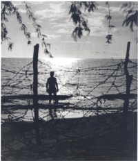 Barbed wire covers a Hawaiian beach after the bombing of Pearl Harbor, 1942 [Courtesy of Ruth Oian Pratt, Bishop Museum]