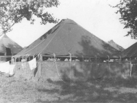 Tents at Camp McCoy before the barracks were finished. [Courtesy of Mary Hamasaki]