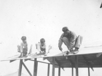 Construction of Macedo's Hut April 1942 Schofield.  [Courtesy of Mike Harada]