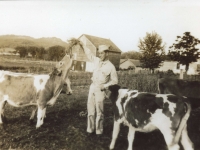 Richard, a member of the 100th Infantry Battalion in the cow pasture at Ralph Hendersin farm. When the soldiers came to visit the farm, they were interested in the animals and went all over the farm taking photographs. [Courtesy of Monroe County Local History Museum, Sparta, Wisconsin. Jarrod Roll, Director, Jan 8, 2019]