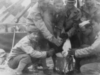 Taken Sept. 24, 1942 the day we left Old Camp McCoy to go to New Camp McCo.  Note tents brought down.  We built a fire in the can with wood and coal and gathered around it to keep warm.  Temperature was constantly around 37 degrees.  It was cold. L to R: myself, Yoneshige, Ikeno, Hirata, Yukio Takehara, Stanley Imamura, Haruo Hayakawa & Hirayama.  [Courtesy of Jan Nadamoto]