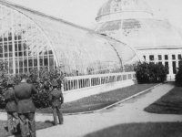 Inside the Como Park Conservatory, St. Paul, Minn. -Oct.  4, 1942.  [Courtesy of Jan Nadamoto]