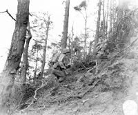 Japanese American infantrymen move up steep hill in Bruyères sector of France. (October 24, 1944). [U.S. Army Signal Corps photo]