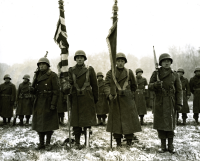 Color guards and color bearers from the 442nd Combat Team stand at attention while their citations are read in Bruyeres, France. [U.S. Army Signal Corps photo]