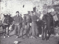 Stanley Hamamura with pack horses and mules [Courtesy of Fumie Hamamura]