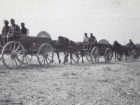 German Army traveling through Italy with wagons because they ran short of gas. [Courtesy of Fumie Hamamura]