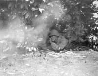 October 12, 1943, Italy. Pfc. Arthur Shinyama, Japanese-American B.A.R. gunner of U.S. 100th Infantry Battalion taking position during mock maneuvers. [Photograph by U.S. Army Signal Corps]