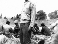 James Kawashima standing in middle of a field after maneuvers at Camp McCoy, Wisconsin [Courtesy of Alexandra Nakamura] Inscription: Boy, its hot