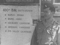 Campaigns of the 100th Inf. Bn. (Courtesy of Joy Teraoka)