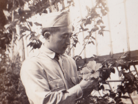 Tokuichi Hayashi. “Hibiscus in a land 5000 miles from home” (Courtesy Kathi Hayashi)