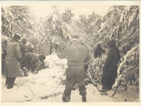 Rabbit hunting in Wisconsin